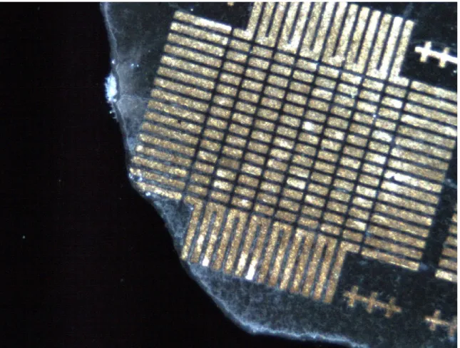 Figure 3-6 Échantillon pour test de mouillage de la pâte de soudure avec la brasure d’or de l’Université de Melbourne 