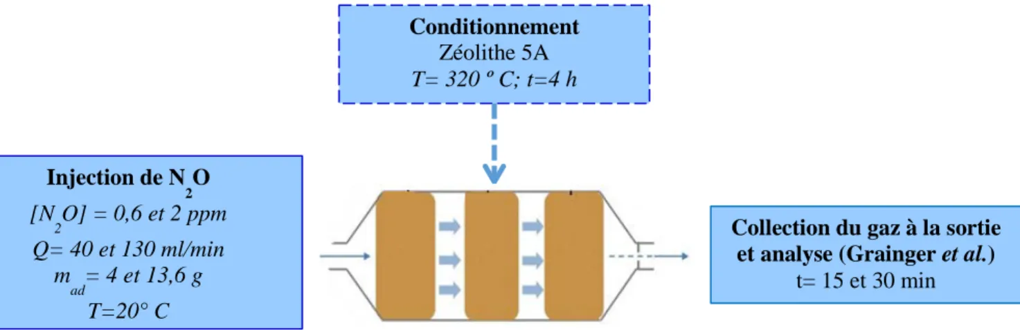 Figure 4.1 Processus et paramètres évalues dans l’adsorption du N 2 O par la zéolithe 5A