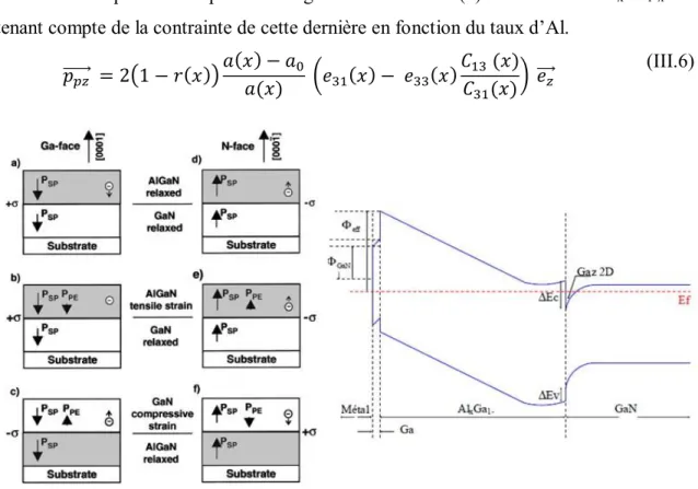 Figure III. 2: Polarisation spontanée et piézoélectrique, et diagramme de bande d’un hétérostructure AlGaN/GaN face  Ga et N  [20]