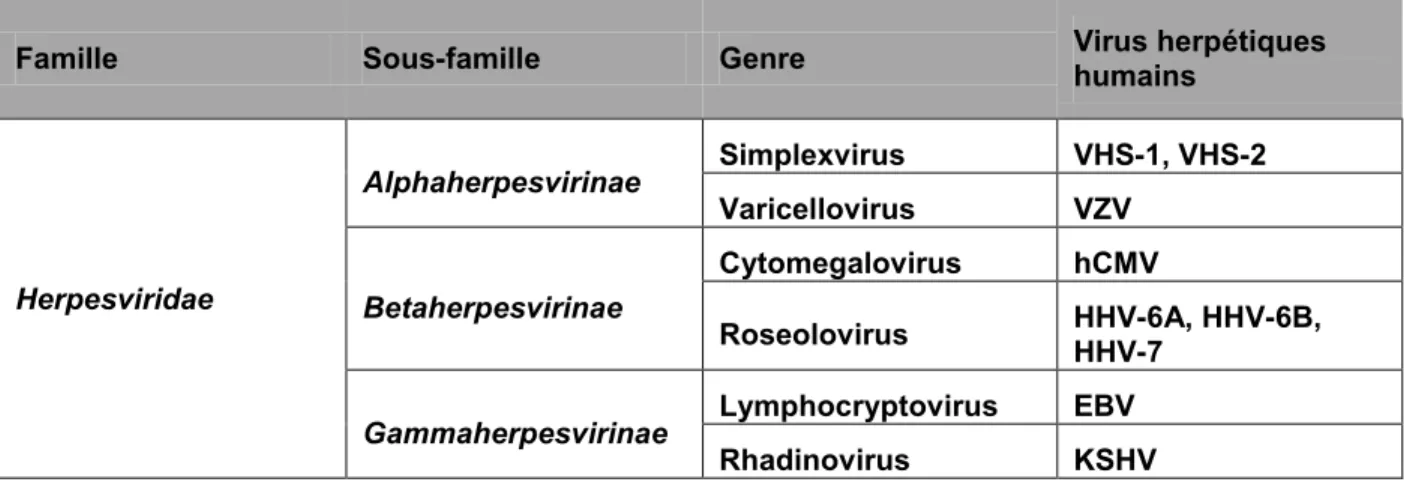 Tableau 1.1 : Classification des virus herpétiques humains (HHV) 
