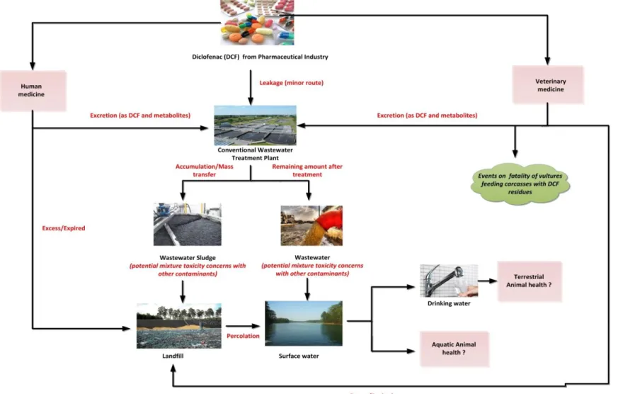 Figure 1:  Entry routes of diclofenac to the environment 