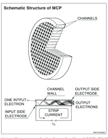 Figure 2.1 Structure de la dynode d’un MCP-PMT [50].