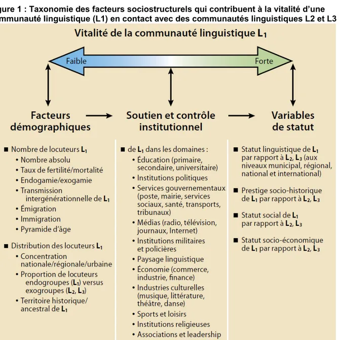 Figure 1 : Taxonomie des facteurs sociostructurels qui contribuent à la vitalité d’une  communauté linguistique (L1) en contact avec des communautés linguistiques L2 et L3 
