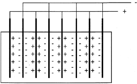 Figure 3  Montage d'électrocoagulation bipolaire 