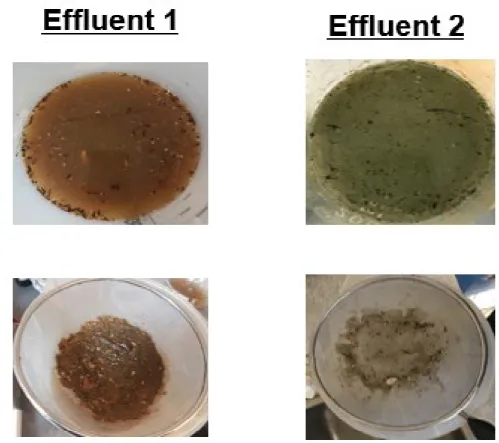 Figure 5 : Comparaison visuelle des échantillons après filtration 