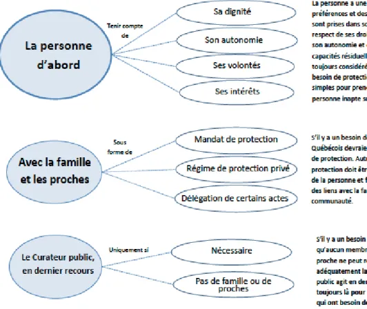 Figure 1.1 : Orientations du Curateur public du Québec