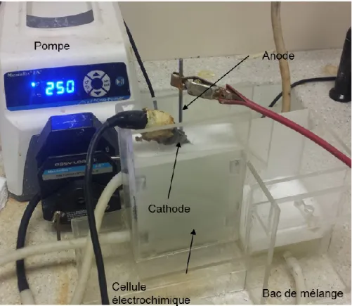 Figure 2: Photographie du montage d’électro-oxydation  