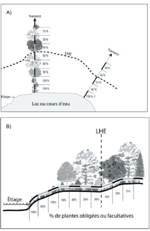 Figure 2.1 : Méthode botanique experte, vue en plan (A), vue en coupe (B) avec l’identification de la  ligne des hautes eaux (LHE)(MDDELCC, 2015)