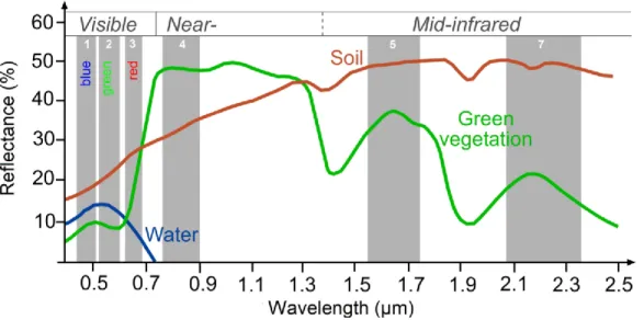 Figure  2.2  :  Réflectance  de  l’eau,  de  la  végétation,  et  des  sols  pour  les  canaux  de  Landsat  TM  (European Space Agency) 