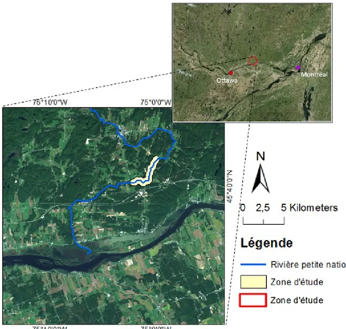Figure 3.1 : Présentation de la zone d’étude dans la rivière Petite Nation située entre Montréal et  Ottawa 