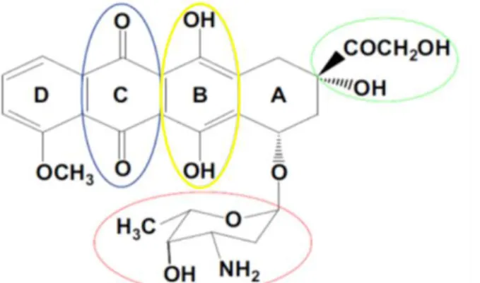 Figure 4. Structure chimique de la doxorubicine.  