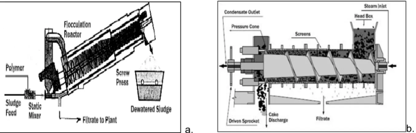 Figure 1.6  Presses  à  vis.  Presse  inclinée  (a.)  ou  Presse  horizontale  (b.)  (Turovskiy  et  Mathai, 2006)    Lits de séchage 1.4.8 Les lits de séchage des boues sont utilisés pour la déshydratation des boues. Ces systèmes sont  basés à la fois sur