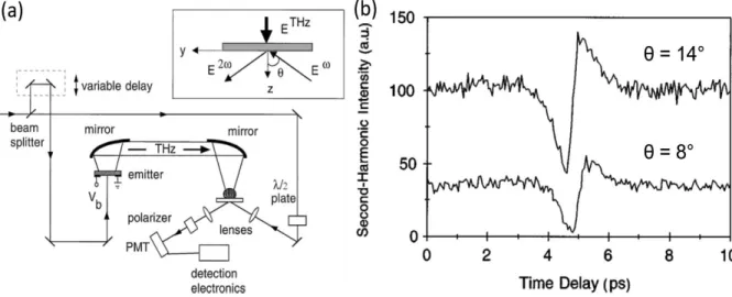 Figure 3.1. (a) Sketch of the experimental set-up employed to demonstrate TFISH in amorphous silicon