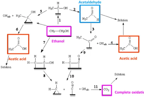 Figure 1. 4. –  Ethanol oxidation reaction and intermediates by-products on Pt, adapted  from ref  36 