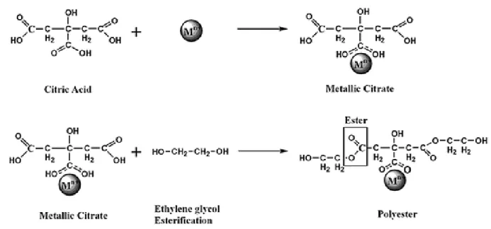 Figure 2. 1 – Scheme of a polyester network with the metallic cations represented as M n- 