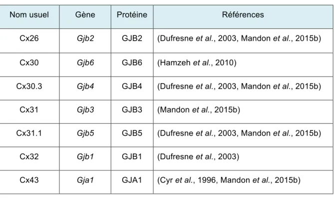 Tableau 1. 1 Identification des Cxs exprimées dans l'épididyme du rat.  