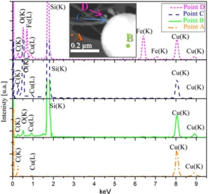 Figure 3.8. STEM-EDX spectra acquired at different points of ICP-SiNWs, as shown in the dark field image reported  in the inset