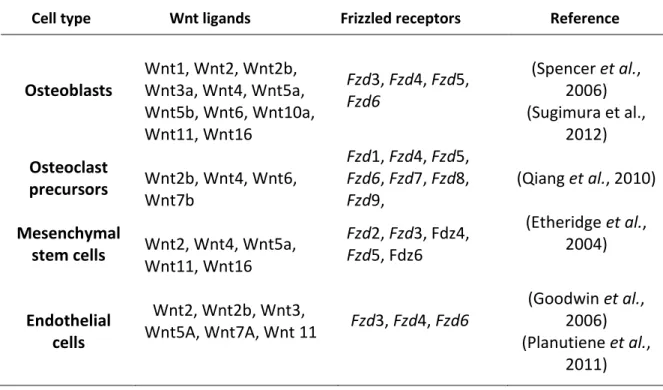 Table 5. Expression of Wnt ligands and Frizzled receptors in the bone marrow        Cell type                     Wnt ligands                        Frizzled receptors                        Reference 