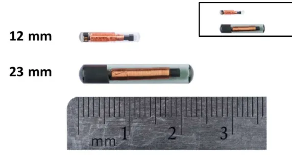 Figure 10. Différence entre les transpondeurs de 12 et 23 mm. Médaillon : taille réelle