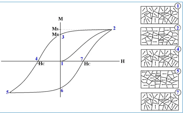 Figure 8: Typical magnetic hysteresis loop and behavior of the moments in the different domains in response  to the applied field