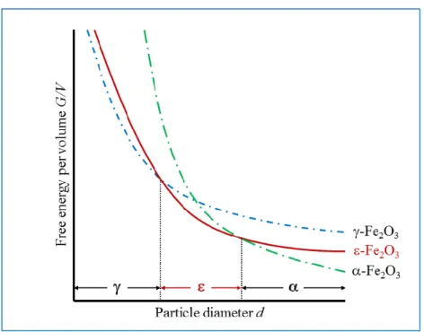Figure 24: Free energy per volume versus particle diameter in iron oxide (adapted from 40)