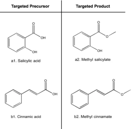 Figure 1.6  Precursors  and  product  molecules  for  flavoring  esters  synthesized  in  this  study