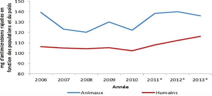 Figure 1 : Quantités d’antimicrobiens distribuées ou vendues, au Canada, pour 