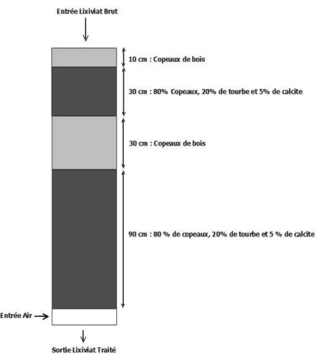 Figure 1-4   Composition du garnissage de la colonne de biofiltration 
