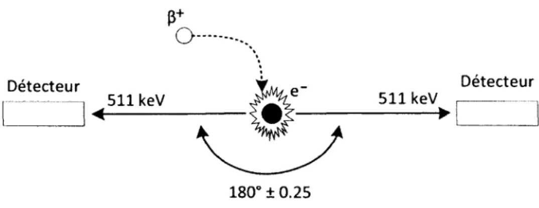 Figure  2.1  L’émission  d ’un  positron  et  sa  réaction  d ’annihilation.