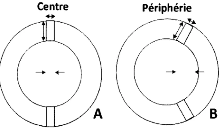 Figure  2.3  Effet  parallaxe  en  périphérie  du  scanner.