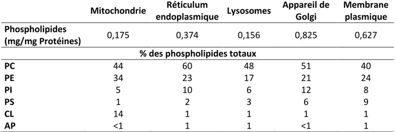 Tableau 2 : Composition lipidique de quelques fractions membranaires (foie de rat) 