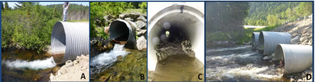 Figure  1.  2 :  Exemples  de  conditions  pouvant  rendre  le  ponceau  partiellement  ou  complètement  infranchissable par le poisson : la constriction du cours d’eau (A) ; la présence d’une chute située  à  l’extrémité  aval  du  ponceau  (B);  l’obstr