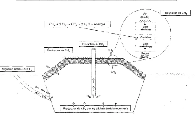 Figure 1 Bsiarî massscjue du méthane dans les sites d'enfoufssement (adapté de Sdieuti et aï, 200SI 