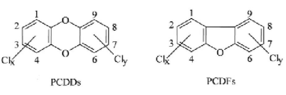 Figure 1-1  Structures chimiques et numérotation des dioxines et furanes (INSERM, 2000) 