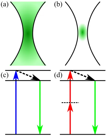 Figure 2.1 – Localisation de la fluorescence. (a) Signal émis par la fluorescence à un photon.