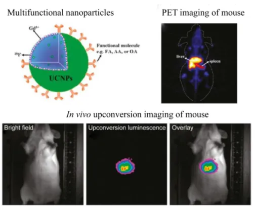 Figure 1.5 UCNPs-based multimode bioimaging [64].