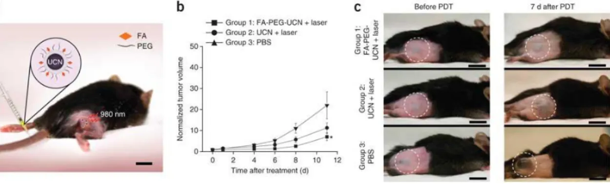 Figure 1.6 Schematic diagram showing UCNPs-based targeted PDT in a mouse model of melanoma  intravenously injected with UCNPs [51].