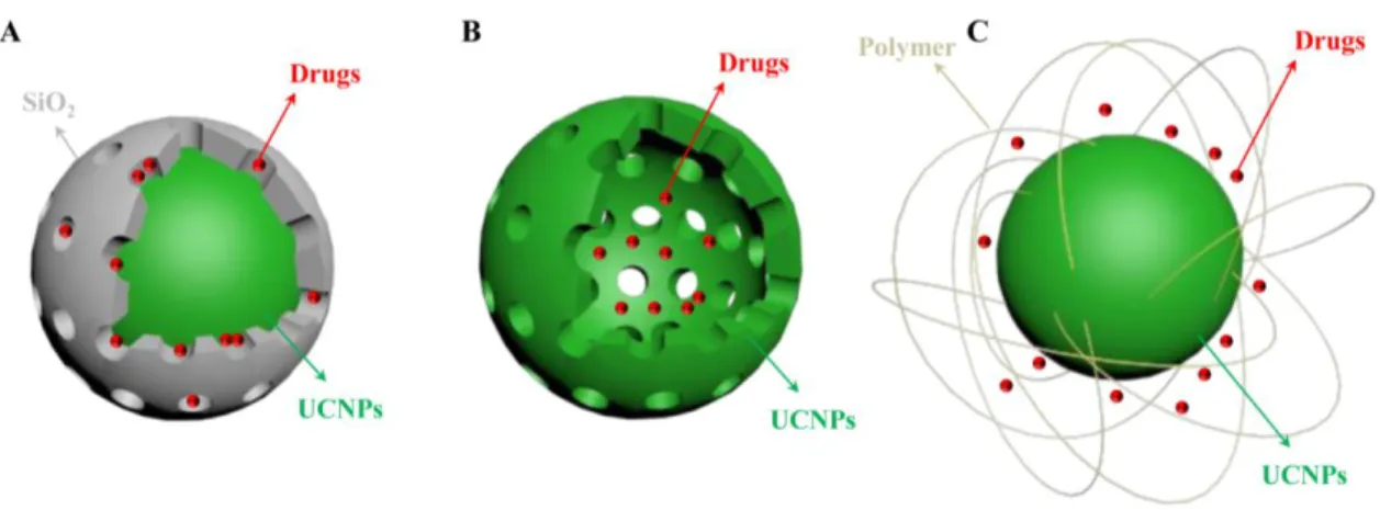 Figure 1.8 Schematic representations of the UCNPs-based drug delivery systems: (A) mesoporous  shells, (B) hollow spheres, and (C) PEG grafted amphiphilic polymer