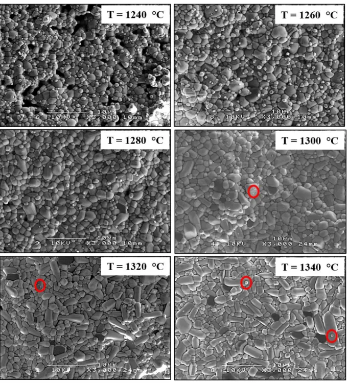 Figure  16 :  Images  MEB  démontrant  la  morphologie  des  céramiques  BaSrSmFeNb 4 O 15  pour  6  températures de chamottage comprises entre 1240 °C et 1340 °C