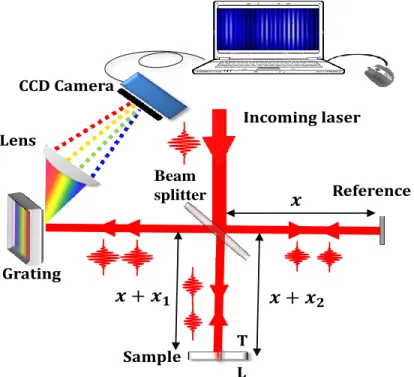 Figure  2.10|  Schematic  illustration  for  the  experimental  realization  of  the  concept  of  spectral- spectral-domain interferometry (SDI) based on Michelson interferometer scheme