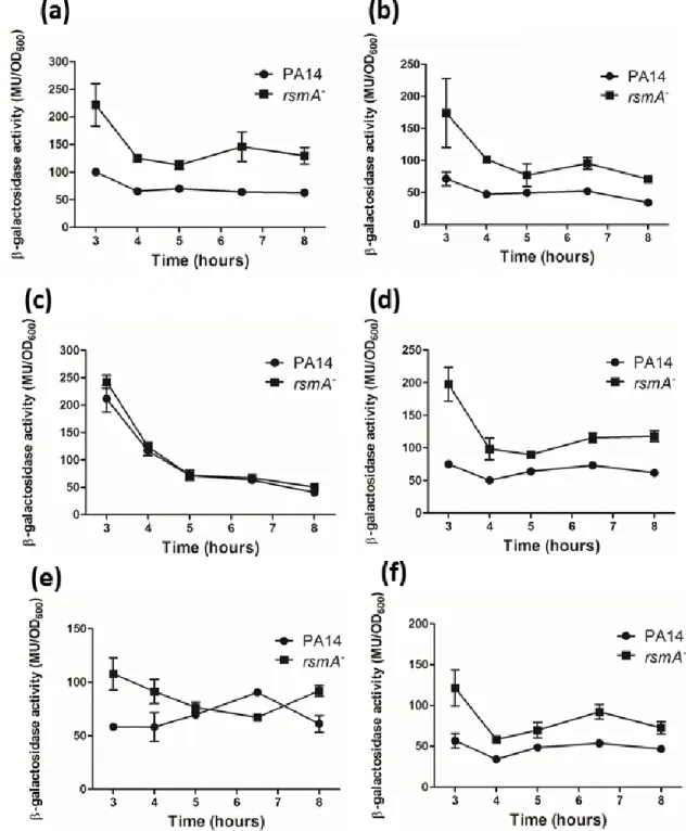 Figure 4.5 Time-course expression of rsmA determined by using a translational rsmA'-'lacZ reporter 