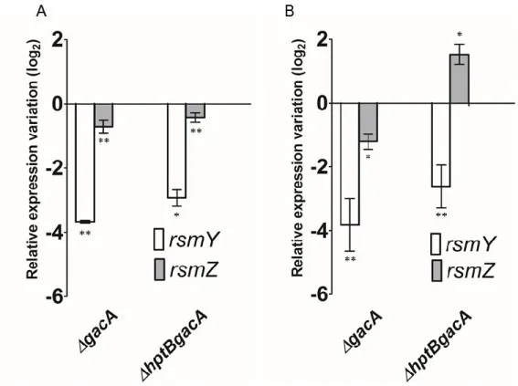 Figure 5.4 The expression of sRNA is dependent of growth conditions. 