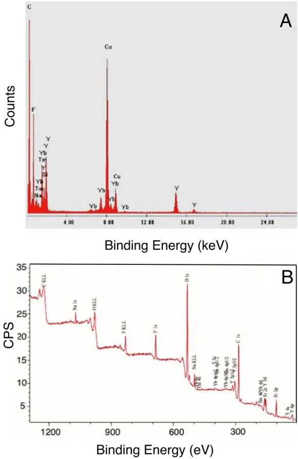 Figure 3.4 Representative (A) EDX and (B) XPS of NaYF 4: Tm 3+ , Yb 3+  decorated PSA/SiO 2  nanoparticles