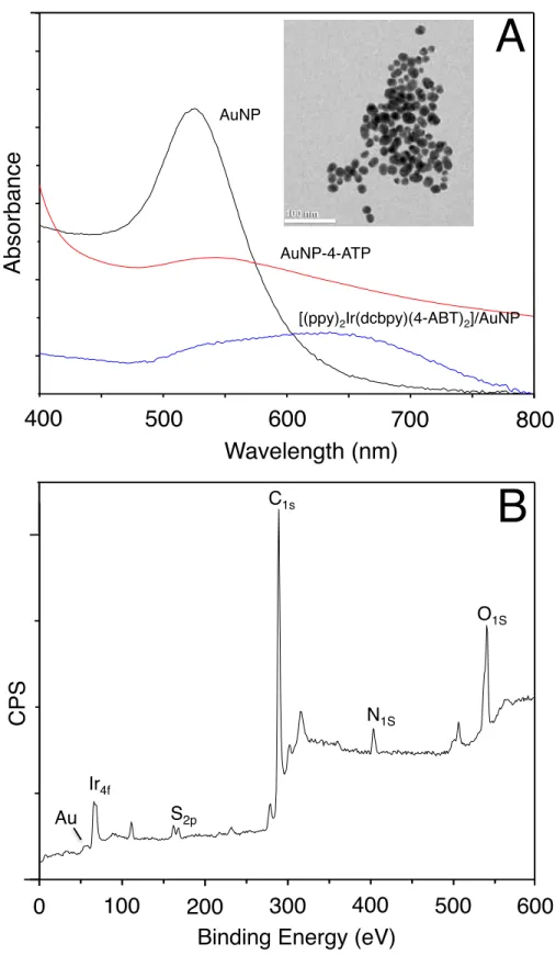Figure  3.5  (A)  Comparison  of  UV  absorptions  of  AuNPs,  4-ABT  modified  AuNP  and  Ir(III)  attached  AuNPs through thiol linker 4-ABT (inset: TEM of AuNPs) and (B) XPS of Ir (III) decorated AuNPs through 
