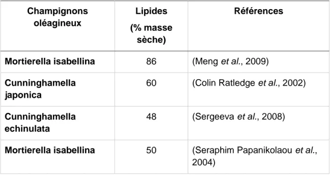 Tableau 1. 3 Accumulation lipidique chez certaines espèces de champignons 