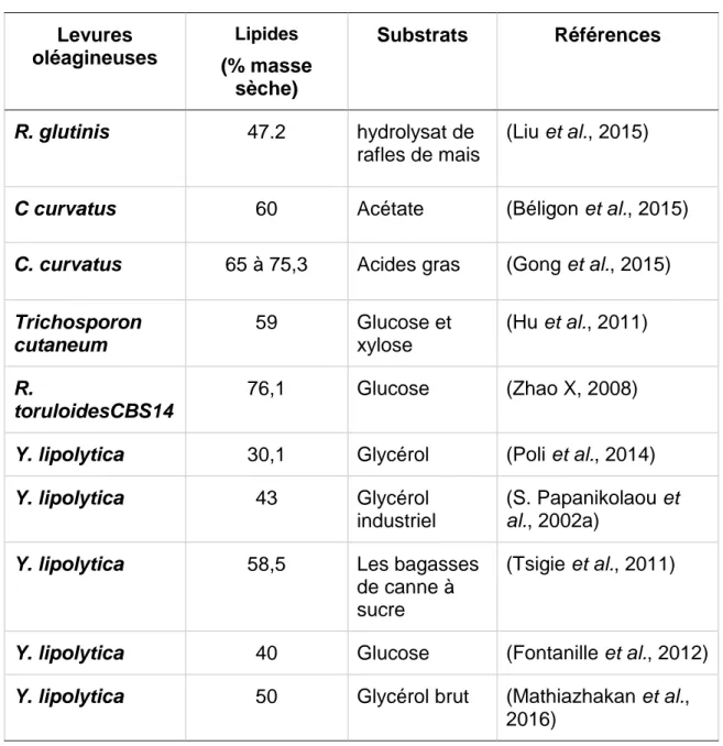 Tableau 1. 4 Accumulation lipidique chez certaines espèces de levures 