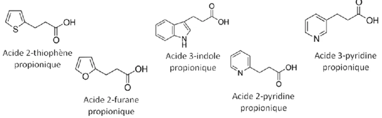 Figure 16: Dérivés de l’acide propionique mimant les propriétés physico-chimiques du noyau  imidazole, utilisés pour la substitution de l’histidine-1