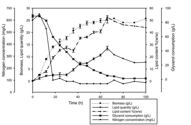 Figure 3.3  Cell  growth  and  lipid  accumulation  for  Y.  lipolytica  SM7,  Culture  was  performed  in  the  original  optimized  medium  comprising  89 g/L  crude  glycerol, 0.54 g/L NH 4 OH, pH = 6.5 ± 0.3, Temperature = 28 ± 0.5°C 