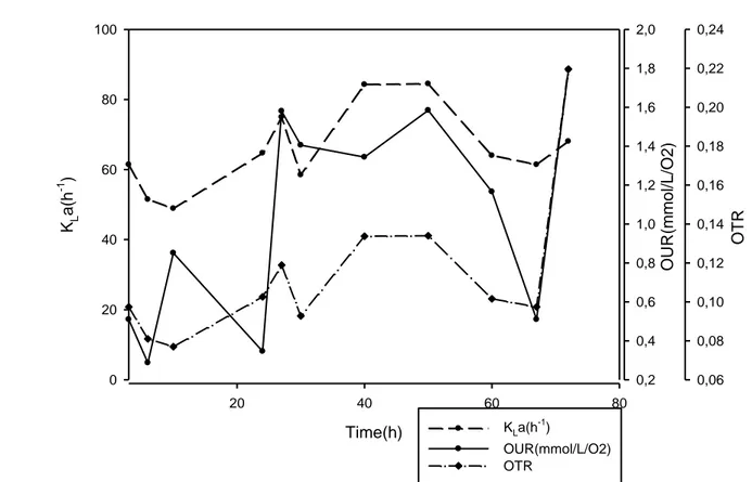 Figure 3.4  Variation of K L a, OUR and OTR in 5 L fermenter. Culture was performed  in  the  optimized  medium  on  89 g/L  crude  glycerol,  0.54 g/L  NH 4 OH,  pH = 6.5 ± 0.3, Temperature = 28 ± 1°C 