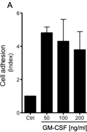 Figure  1.  Utilization  of  EA.hy926  as  cell  substratum  for  investigating  the  adhesive  capacity  of  human  eosinophils